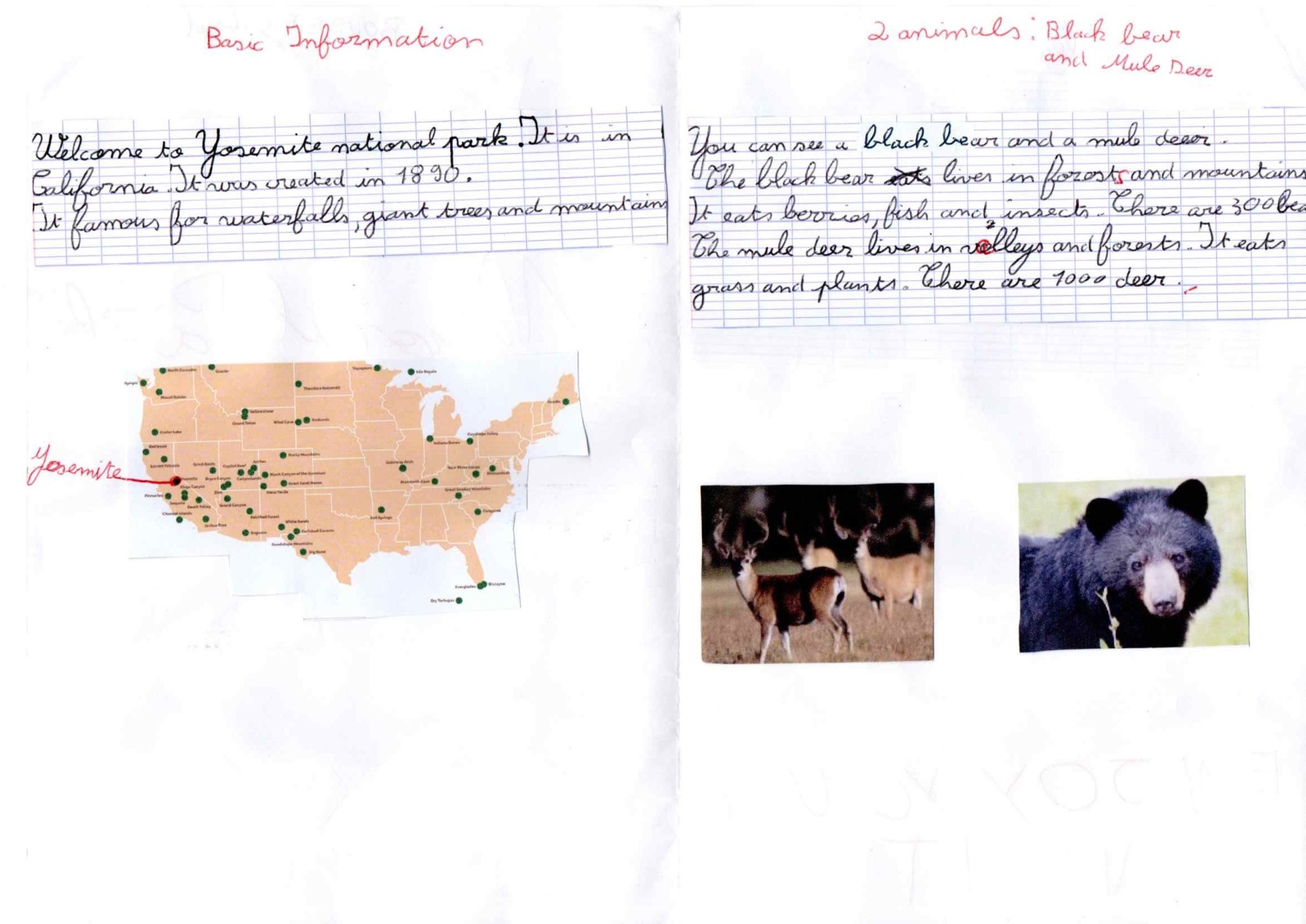 Brochure Yellowstone - Gabriel Boubet - Page 2