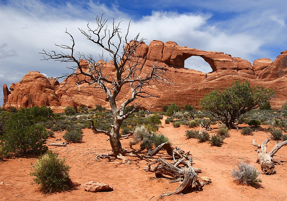 Parcs nationaux américains – Anglais 5e